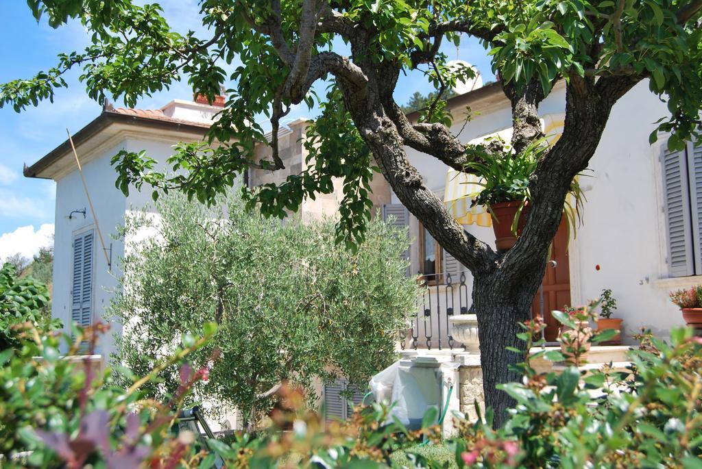 Bed And Breakfast Il Cappero Rapolano Terme Εξωτερικό φωτογραφία